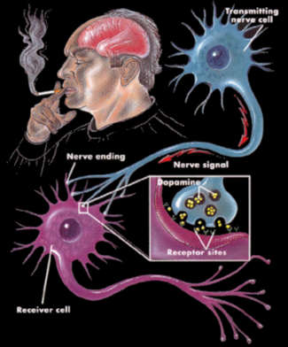Man inhaling a cigarette followed by his brain releasing dopamine.