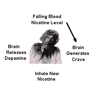 A woman smoking a cigarette while demonstrating the nicotine addiction feeding cycle:  urge, inhale, aaah, falling blood nicotine level.
