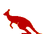 A red hopping kangaroo