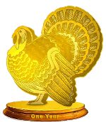 Gold turkey awarded at 1 year
