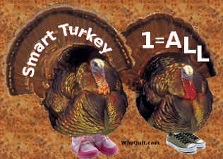Image of two turkeys wearing sneakers.  One's fan feathers states Smart Turkey, while the other's says 1=All