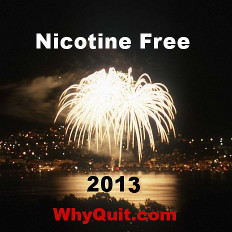 Whether slave to cigarettes, Nicorette, nicotine lozenges, cigars, smokeless tobacco, chewing tobacco, snuff, dip, snus, or the e-cigarette, New Years 2010 is your time to quit!