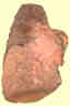 An interactive lung.  Once at the NSW site click on each area of the lung.