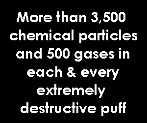 400 chemicals