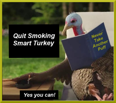 Pfizer image from its 2018 slow turkey commercial of a poolside lounging cartoon turkey putting out a cigarette while reading a book entitled Never Take Another Puff.  The recaptioned image is now titled 'Quit Smoking Smart Turkey' with the caption 'Yes you can' at the bottom.