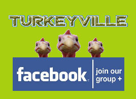 Click to visit Turkeyville, a cold turkey quit smoking support group