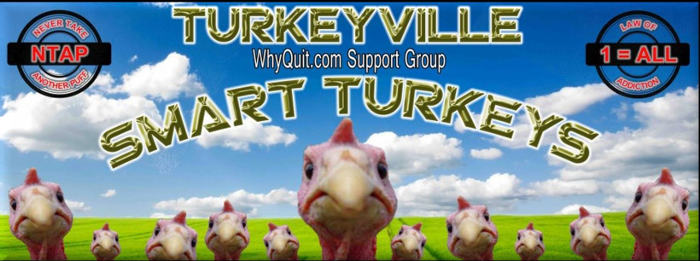 Banner for Turkeyville on Facebook showing turkey heads.