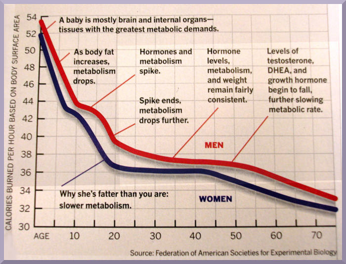 Chart showing the change in calories burned per hour as men and women age.