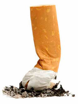 Photo of a crushed cigarette butt