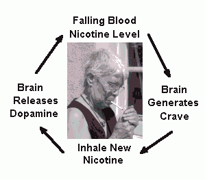 Smoking woman with captions showing the nicotine dependency cycle of urge, use, dopamine release, and an aaahsensation