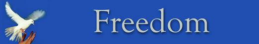 One of Freedom's banners