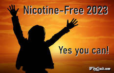 A sunrise silhouette of a person with their hands extended towards the sky captioned 'Nicotine-Free 2023 Yes you can!'