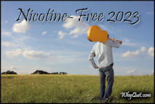 A rear-view of man in jeans carrying a guitar over his right shoulder as he walks acrosss a grassy plain that's captioned 'Nicotine-Free 2023'