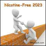 One white faceless casper like character standing on a orangish brick wall, as his extended arm helps another similar charater to scale the wall.  The caption reads Nicotine-Free 2023.