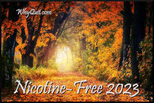 A beautiful path through the woods with light at the end captioned Nicotine-Free 2023
