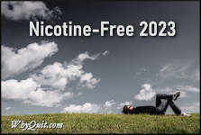 A picture of a many wearning jeans, a black shirt and sunglasses laying on his back on the grass with his arms behind his head and his legs crossed as if soaking up the day.  The imagine is captioned Nicotine-Free 2023.