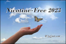 An extended hand releasing a butterly into the sky.  The caption reads, Nicotine-Free 2023.