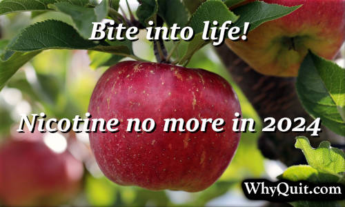 A photo of a red apple titled Bite Into Life! Nicotine No More in 2024