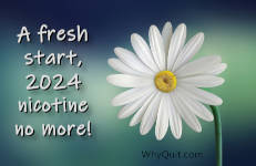 A white daisy on a light green background captioned 'A fresh start, 2024 nicotine no more.'