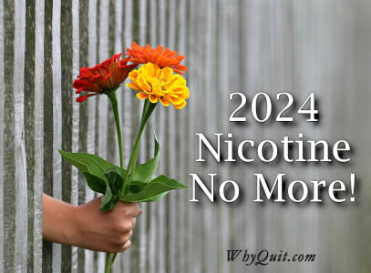 Photo of a hand holding 3 flowers tht are being handed through a fence captioned 2024 Nicotine No More