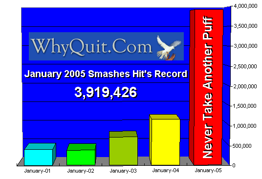 www.WhyQuit.com January 2005 Website Hits