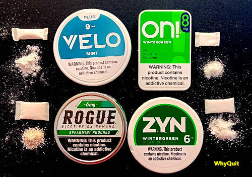 Photo comparing Zyn, on!, Velo, and Rogue nicotine pouches.