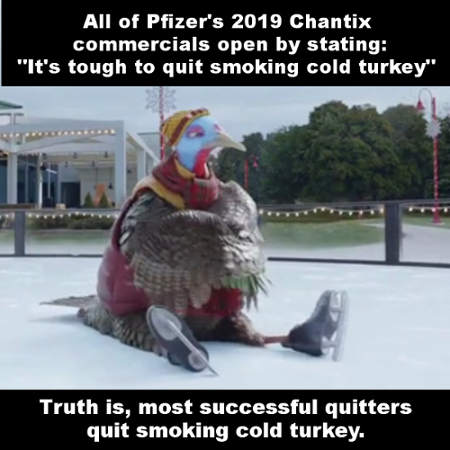 Turkey falling while ice skating during one of Pfizer's 2019 slow turkey Chantix commercials.