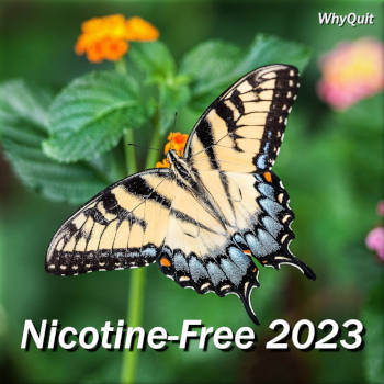 Butterfly on flower captioned Nicotine-Free 2023