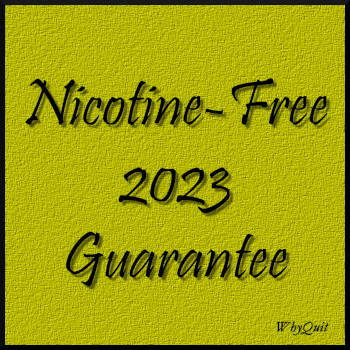 Black lettered words Nicotine-Free 2023 Guarantee on a yellow background.