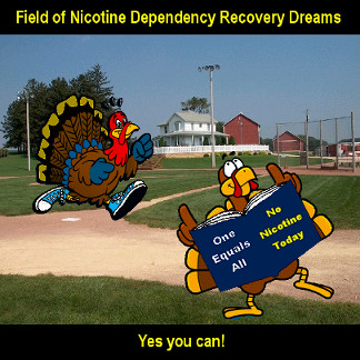 Field of dreams to stop smoking cold turkey