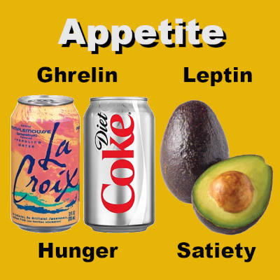 Appetite is regulated by two hormones, ghrelin and leptin.