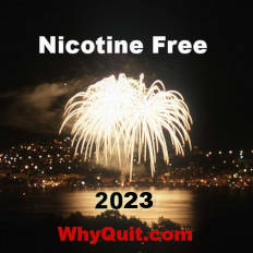 A night-time arial fireworks photo captioned Nicotine-Free 2023 WhyQuit.com