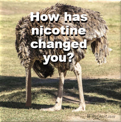 A picture of an ostrich with its head in the sand.  It's captioned How has nicotine changed you?