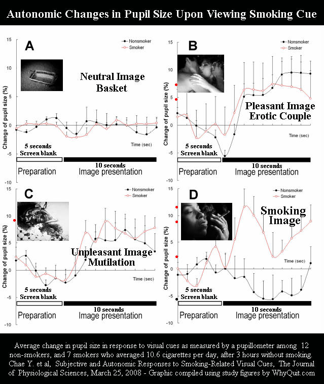 Chart from pupil size study showing smokers reacting to an image of a person smoking a cigarette