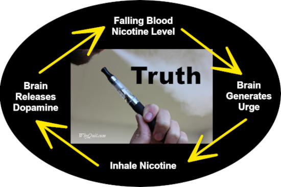 The nicotine need-feed cycle surrounding a man vaping an e-cig.