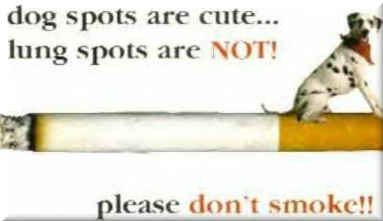 While spots are cute on dogs they're not on lungs.  Don't smoke. Picture of a dalmation sitting on a cigarette.